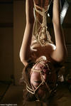 Hog Tied photo preview