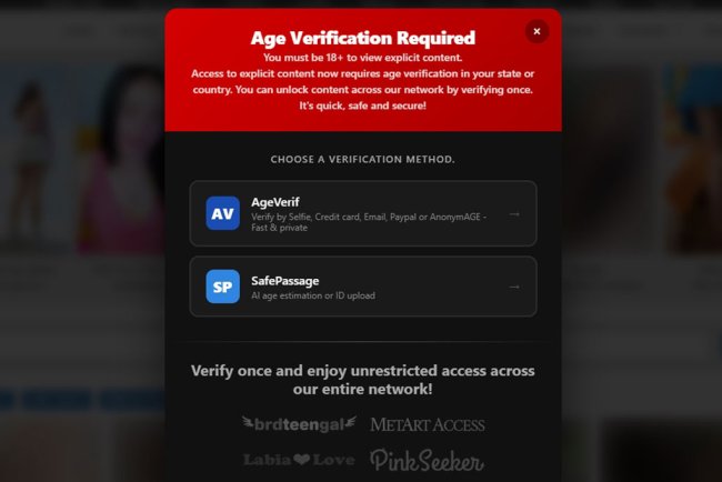 Age Verification on Adult Sites: What You Need to Know